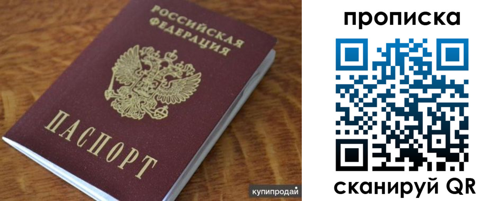 регистрация в Петропавловске-Камчатском